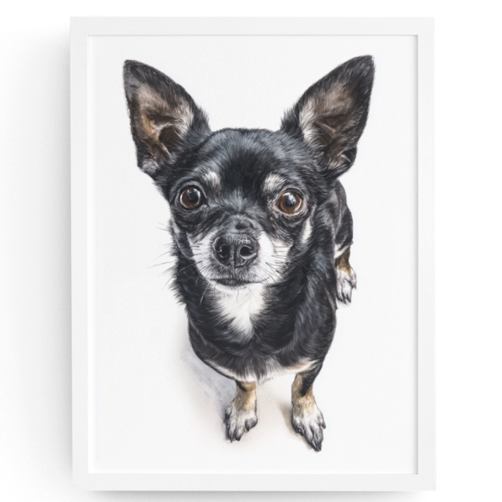 Watercolor Black Chihuahua Dog Portrait Wall Art Print Poster Unframed